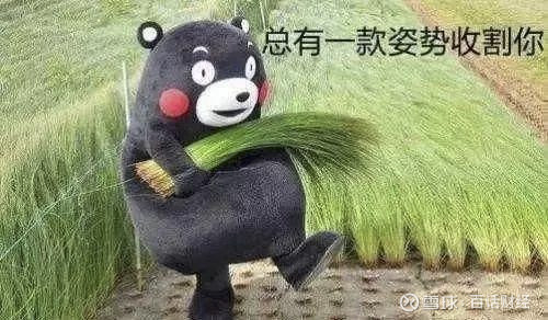 我把荐股群的底裤扒了(图4)