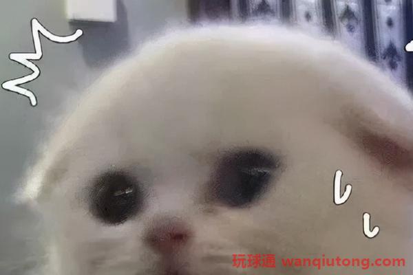 花费近万元考证,最终为何成了“韭菜”?(图4)